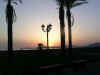 DSCN4417.jpg (31032 byte)