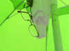DSCN5929.jpg (25114 byte)