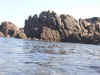 DSCN6139.jpg (8491 byte)