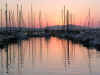 DSCN6270.jpg (57705 byte)
