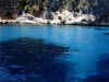 DSCN6302.jpg (8781 byte)