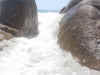 DSCN7655.jpg (7330 byte)