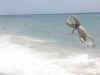 DSCN7713.jpg (4849 byte)